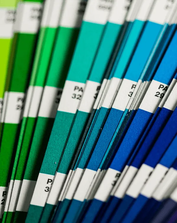 Color Analysis Find your Color Season A Comprehensive Guide Color